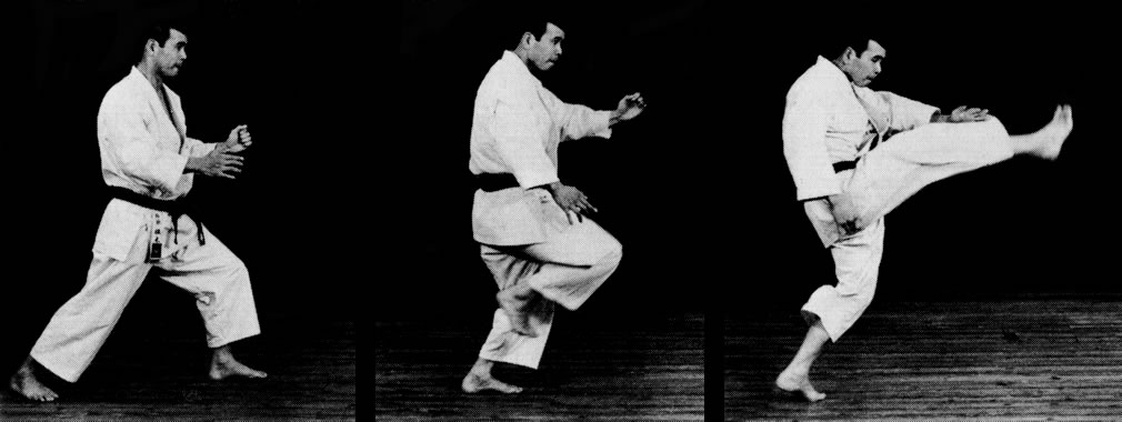 Techniques Et Definitions Karate Ushiro Ashi Mae Geri