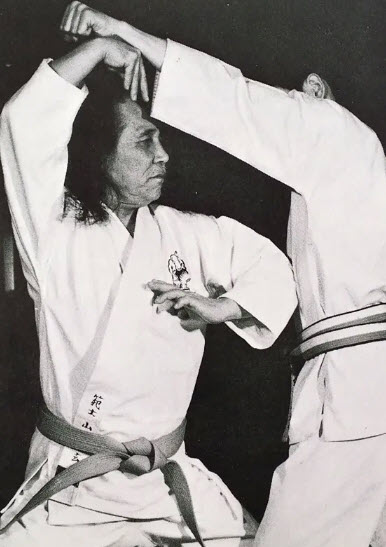 Goju Ryu