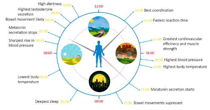 Créer vos routines