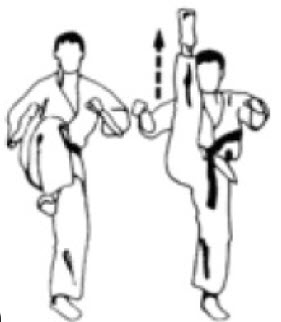 Techniques et Definitions Karate : Attaques pieds (Geri/Ashi Waza)