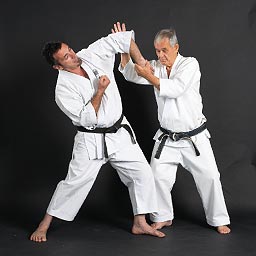 Kansetsu Waza