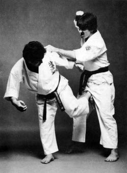 Ushiro Kin Geri