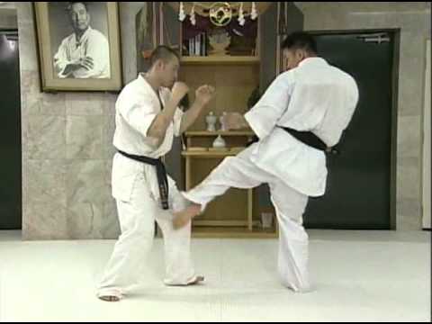 Kyokushin Kumite