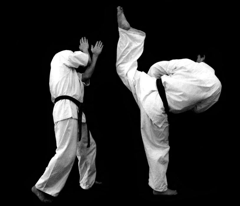 Les coups de pied dévastateurs du Kyokushin