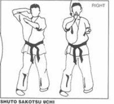 Shuto Sakutsu Uchi