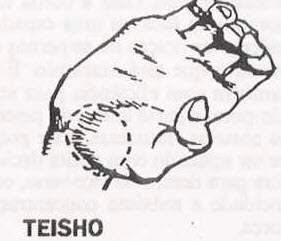 Teisho