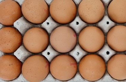 Nutrition et Arts Martiaux : quelques repères pratiques
