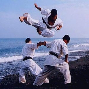 Les coups de pied dévastateurs du Kyokushin